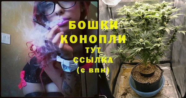 MDMA Premium VHQ Михайловка