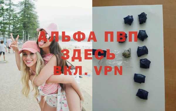 прущие грибы Анжеро-Судженск