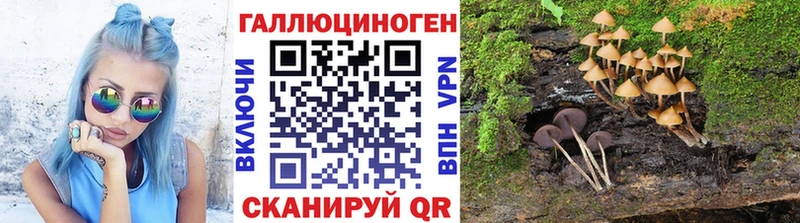 Псилоцибиновые грибы Magic Shrooms  Нахабино 